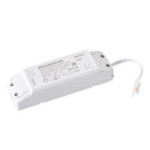 Kanlux K-28026 BRAVO DRIVER 40W Trafo