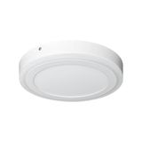 LEDVANCE Anbauleuchte LED CLICKWhite RD 300 mm 18W