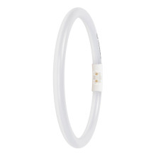 LEDVANCE LED LED T5 FC EXTERNAL P 11.6W 865 2GX13 Dimmbar Kaltweiss 4099854300844