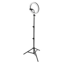 OSRAM LED Stehleuchte LINEAR LED MOBILE RING Tripod Dimmbar Warm weiß,Kalt weiß 4099854497636