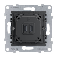 Legrand SEANO Typ C+C USB Ladesteckdosen-Einsatz, zweifach mit Power Delivery System, ermöglicht die Stromversorgung von Multimedia-Endgeräten, 30W, 765031