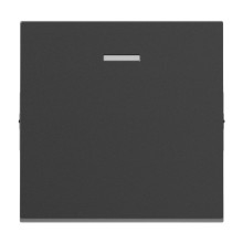 Legrand SEANO Wippe für beleuchtete Wechselschalter, Taster und Kreuzschalter, Schalterabdeckung, Wippenplatte, Anthrazit, 765407