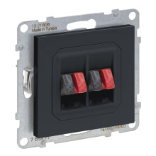 Legrand SEANO Lautsprecher-Anschluss 2-fach mit Federklemmen (Rot/Schwarz), Anthrazit, 765477