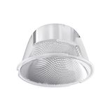 Maytoni Focus 1-Phasen System UNITY Leuchtenkomponente Transparent 2,4cm x Ø5,5cm