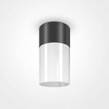 Maytoni Willis Deckenleuchte, Deckenlampe E27 Schwarz IP54