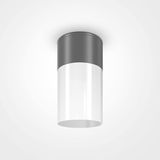 Maytoni Willis Deckenleuchte, Deckenlampe E27 Graphit IP54