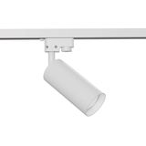 Maytoni Focus Stromschienenleuchte GU10 1-Phase 360° drehbar Weiss