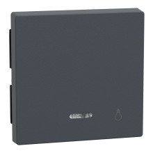 Merten 430914 Wippe mit Kontrollfenster und Aufdruck Licht, anthrazit, System M