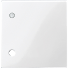 Merten 450719 Zentralplatte für Zugtaster, polarweiß glänzend, System M