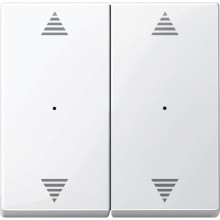 Merten 619719 Wippen für Tastermodul 2fach mit Aufdrucken Auf/Ab, polarweiß glänzend, System M