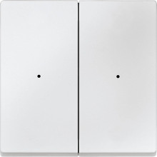 Merten 625219 Wippen für Tastermodul 2fach, polarweiß, System M