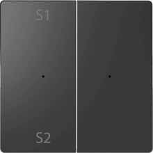 Merten MEG5226-6034 Wippen für Taster-Modul 2fach (Szene1/2, blank), Anthrazit, System Design