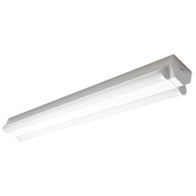 Müller Licht LED Wand- und Deckenleuchte Basic 2/60 white 20300520