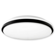 Müller Licht LED Wand- und Deckenleuchte Taro 40 21000071