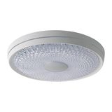 Näve LED Deckenleuchte BOISE Ø51cm 45W Steuerbare Lichtfarbe weiß 1381923
