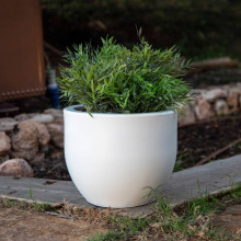 Newgarden AZALEA 30 Übertopf, Kübel rund ø30x25cm weiss 9L mit Wasserspeicher outdoor