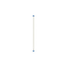 Philips Röhre LED T8 60cm 8W G13 CW HO 8W 900lm neutralweiss 4000K wie 18W