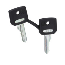 Schneider Electric ZBG455 Ersatzschlüssel für Schlüsselschalter, 455, Verpackungseinheit: 2 Stck.