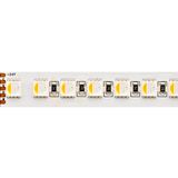 SIGOR 22W/m RGB+W LED-Streifen RGB/3000K 5m 112 LED/m IP20 24V 1657lm RA90