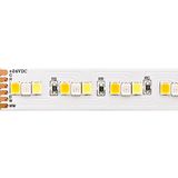 SIGOR 20W/m RGB/TW LED-Streifen RGB/2300+6500K 5m 210 LED/m IP20 24V 1662lm WH