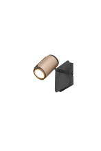 Trio 814570165 Gillan GU10 Strahler Coffee
